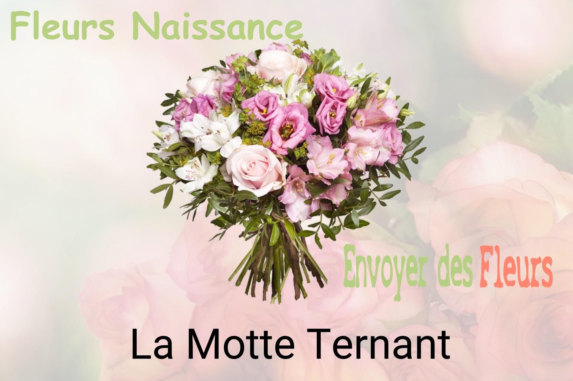 Bouquet de fleurs de naissance livré à La Motte-Ternant